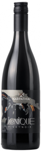 Pinot Noir, Patria Kobylí (2024)